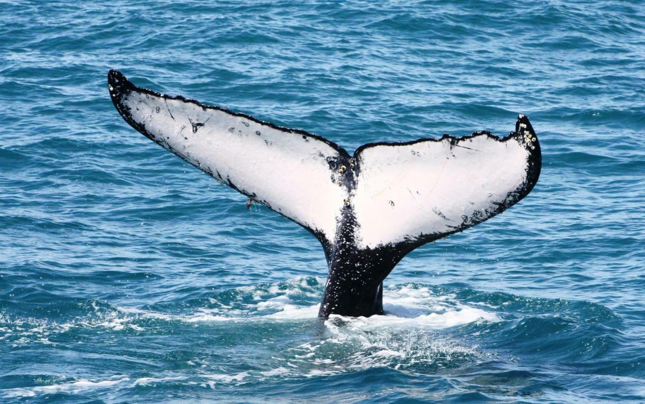 Pousada Areia Preta Cumuruxatiba Bagian luar foto