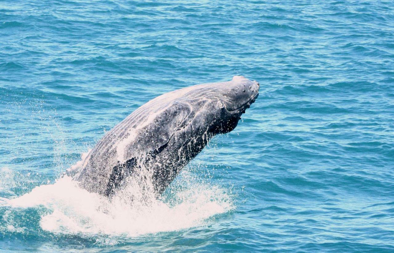 Pousada Areia Preta Cumuruxatiba Bagian luar foto